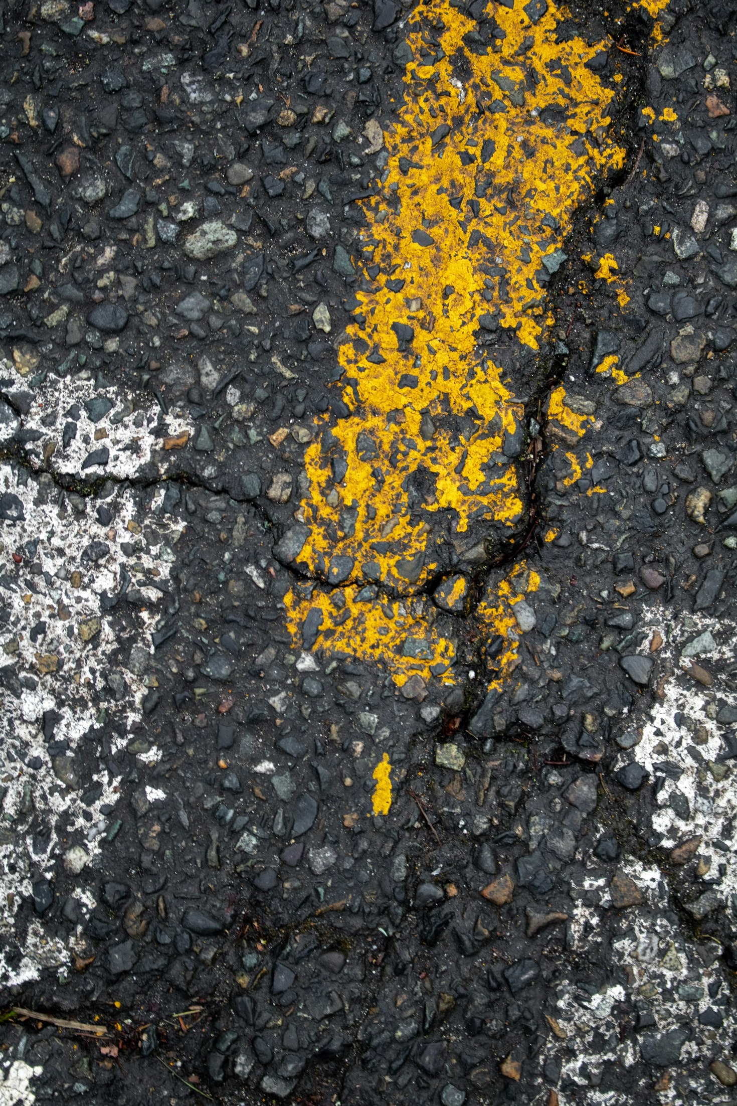 Safety First: Markings That Make a Difference