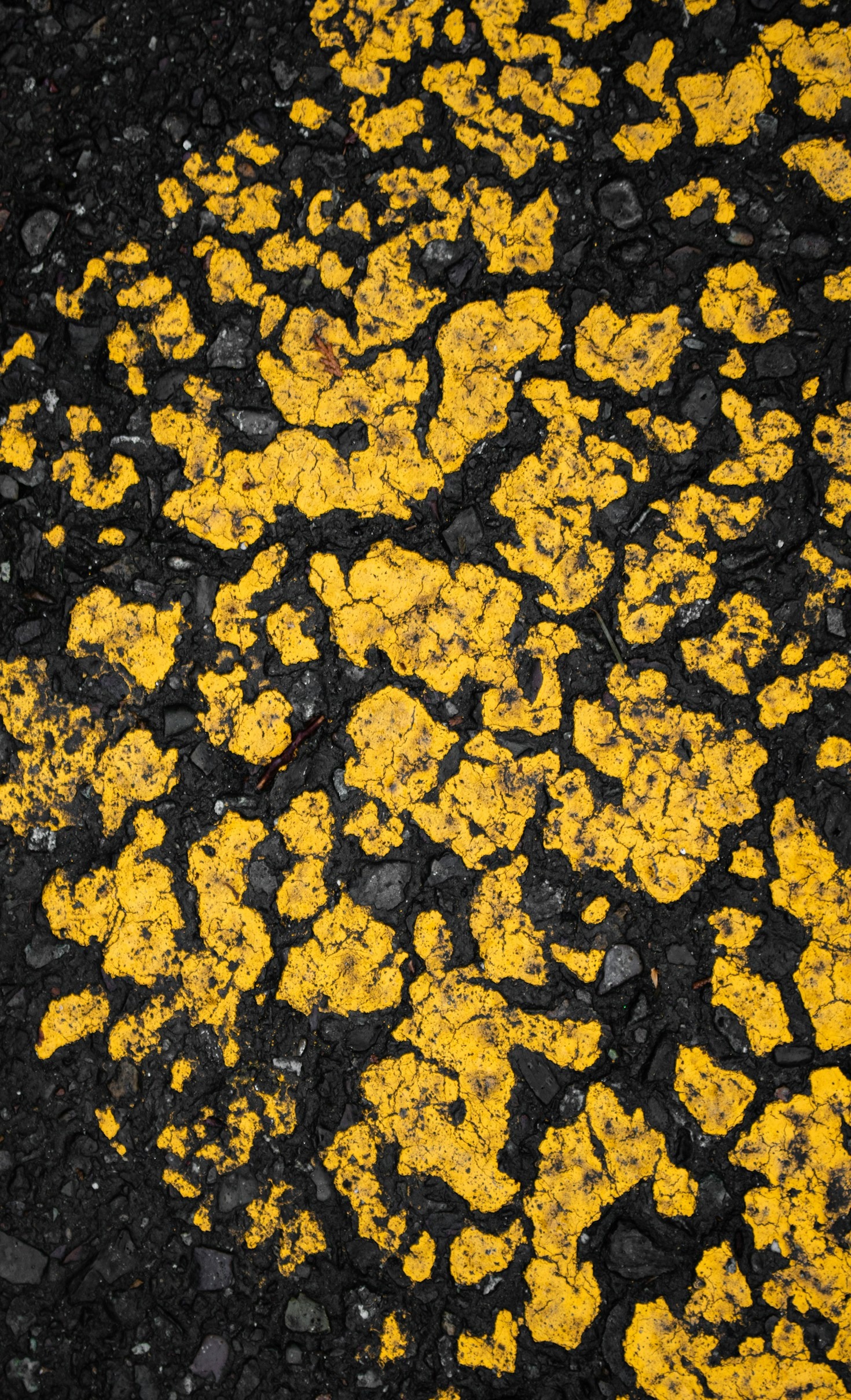 Emerald Coast’s Guide to Parking Lot Care